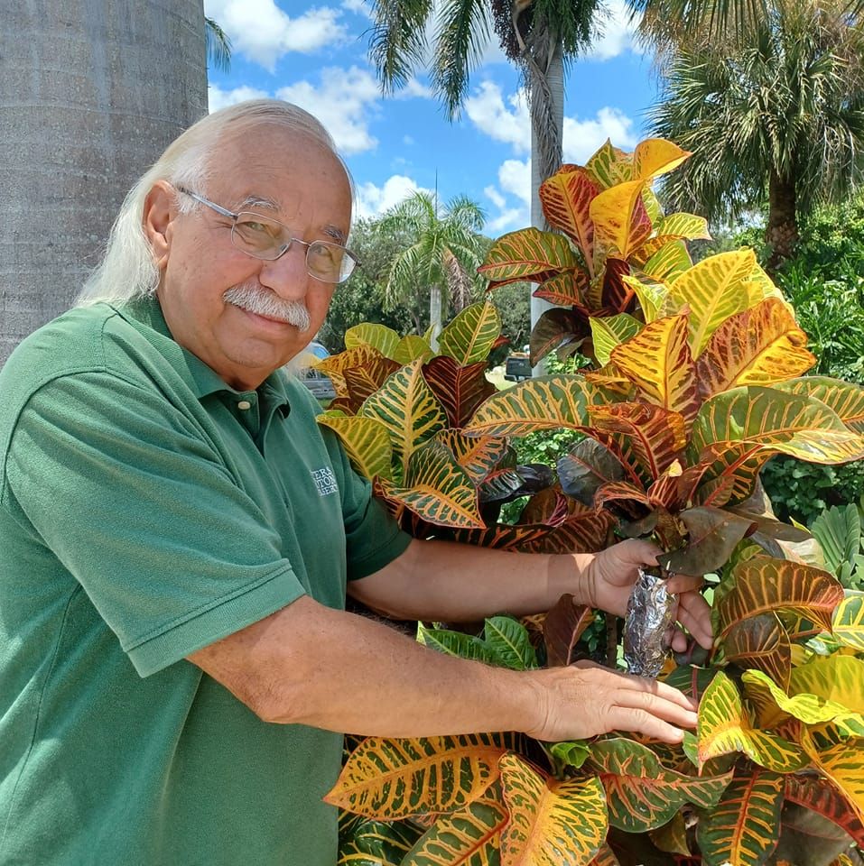 Peters Crotons & Ti Plants