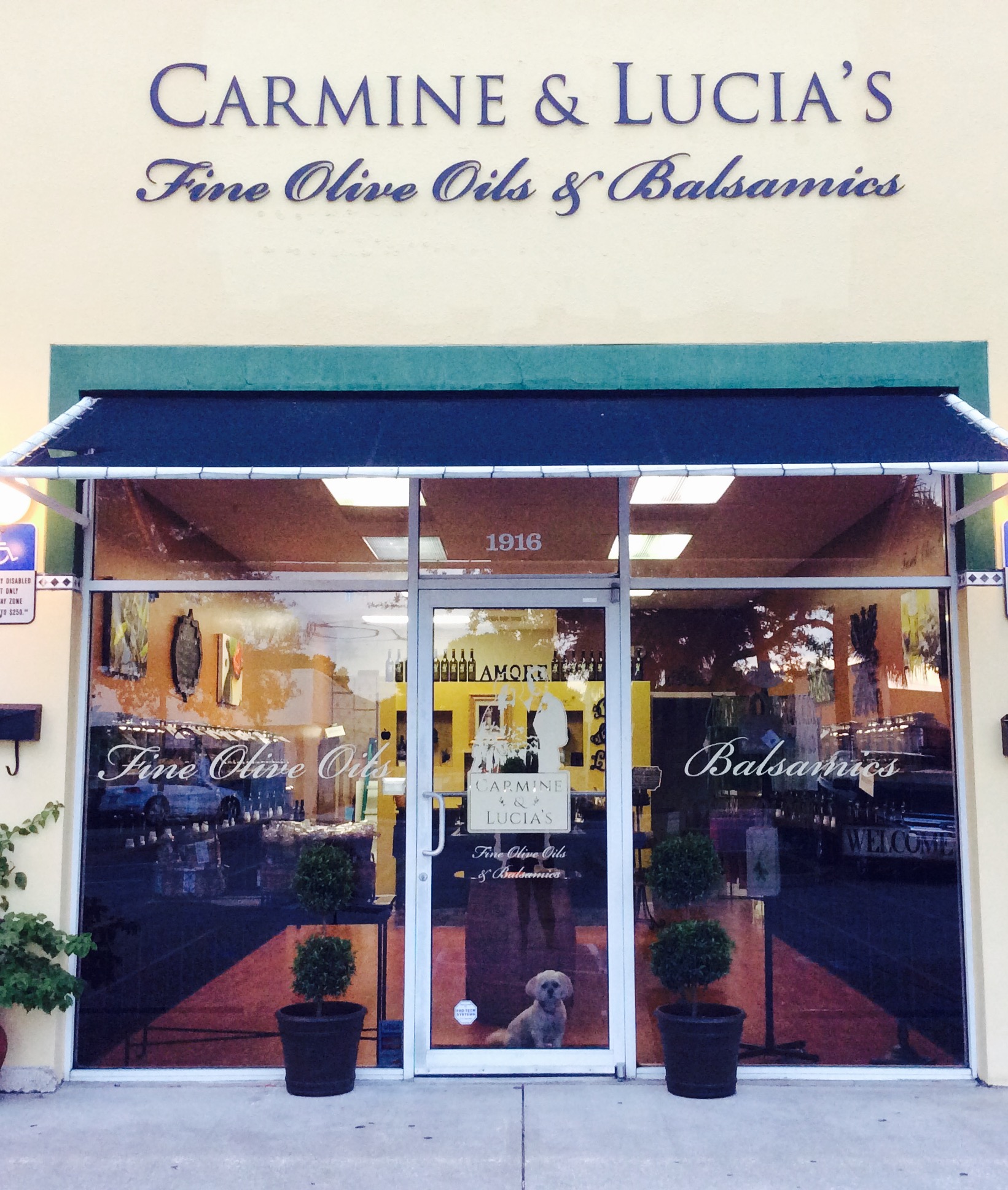 Carmine and Lucia’s Fine Olive Oil and Balsamics