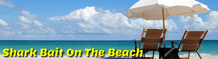 Shark Bait Beach Gear Rentals