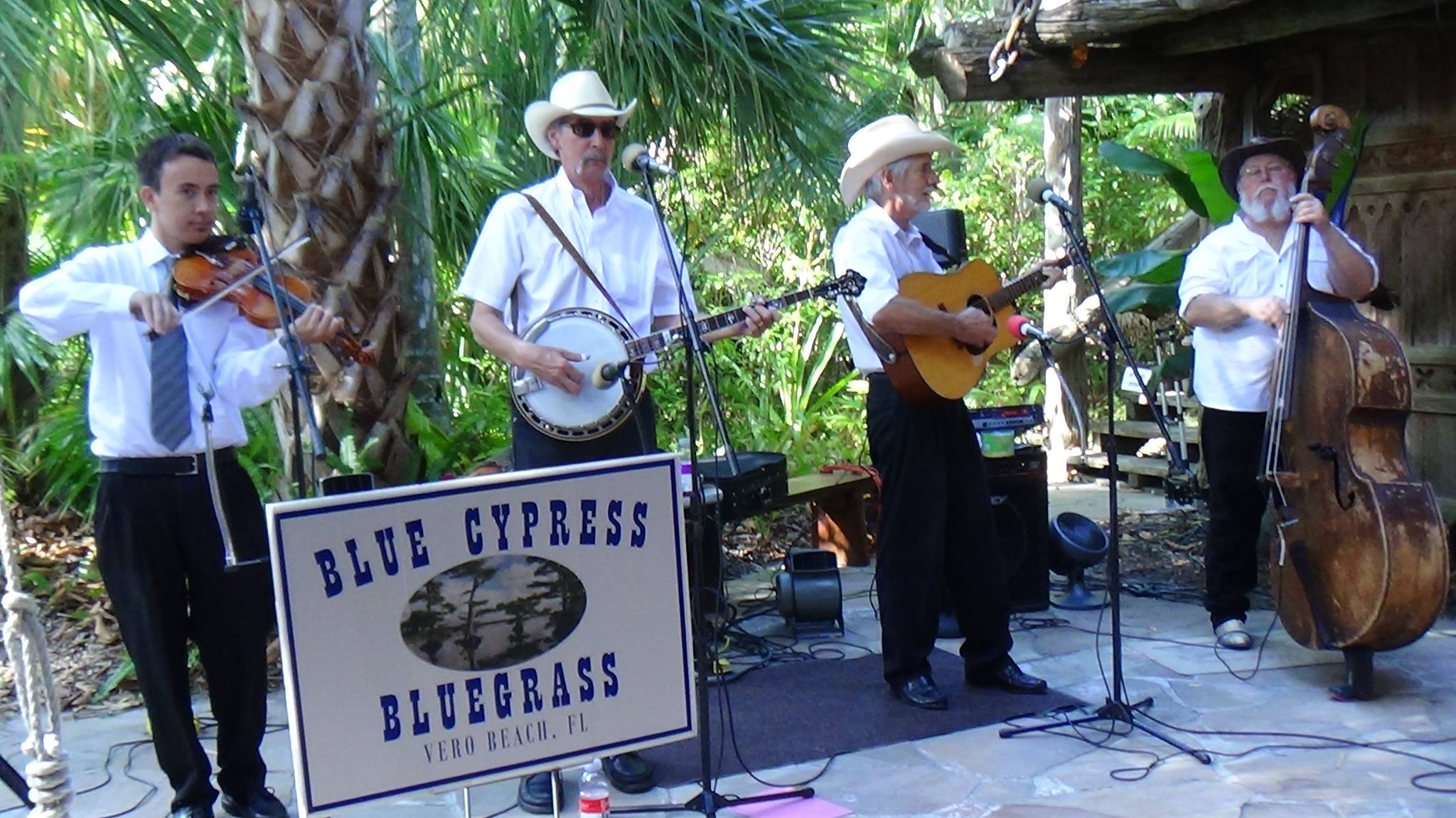 Blue Cypress Bluegrass