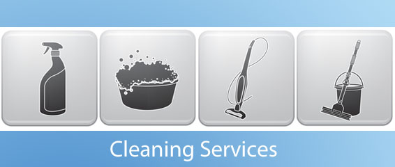 Featured image for “Professional Cleaning Services”