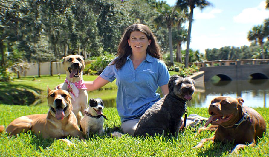 Lisa’s Dog Training & Pet Care