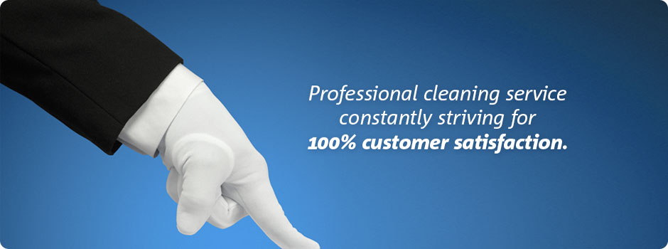 Professional Cleaning Services