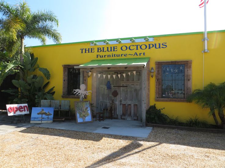 The Blue Octopus