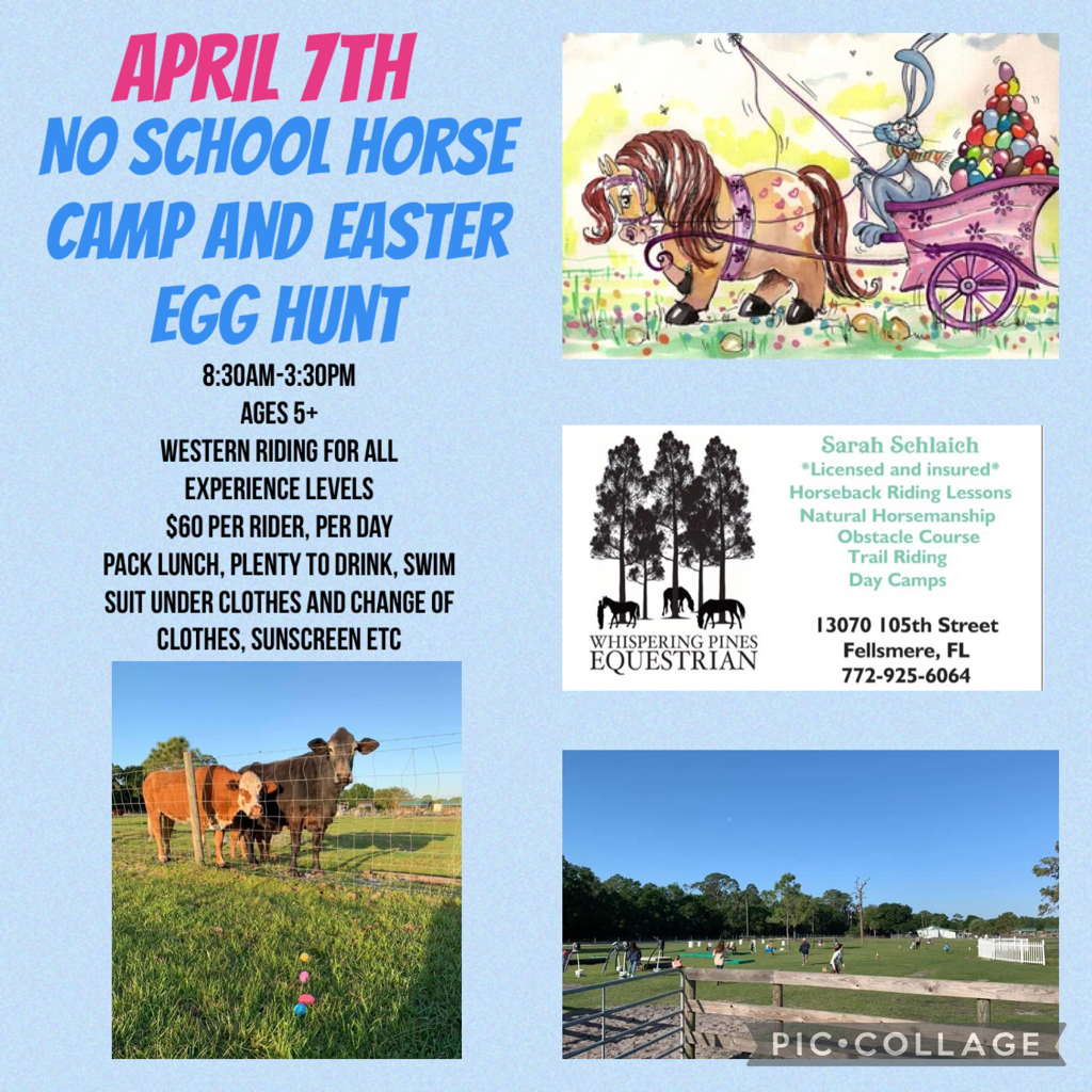 Whispering Pines Equestrian Summer Horse Camp