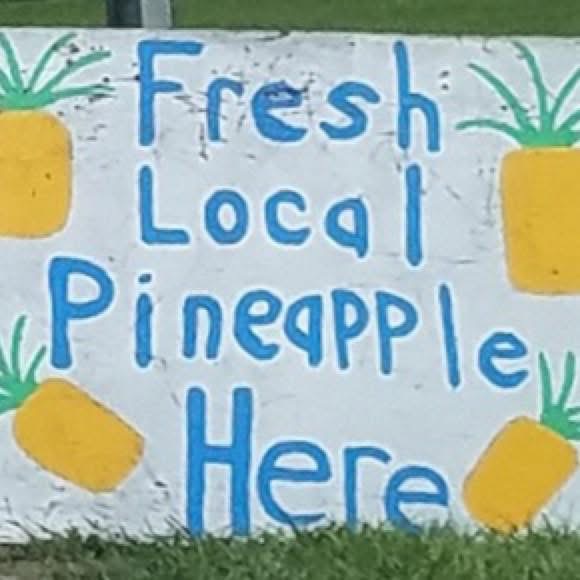 Hand painted Fresh Local Pineapple Here roadside sign