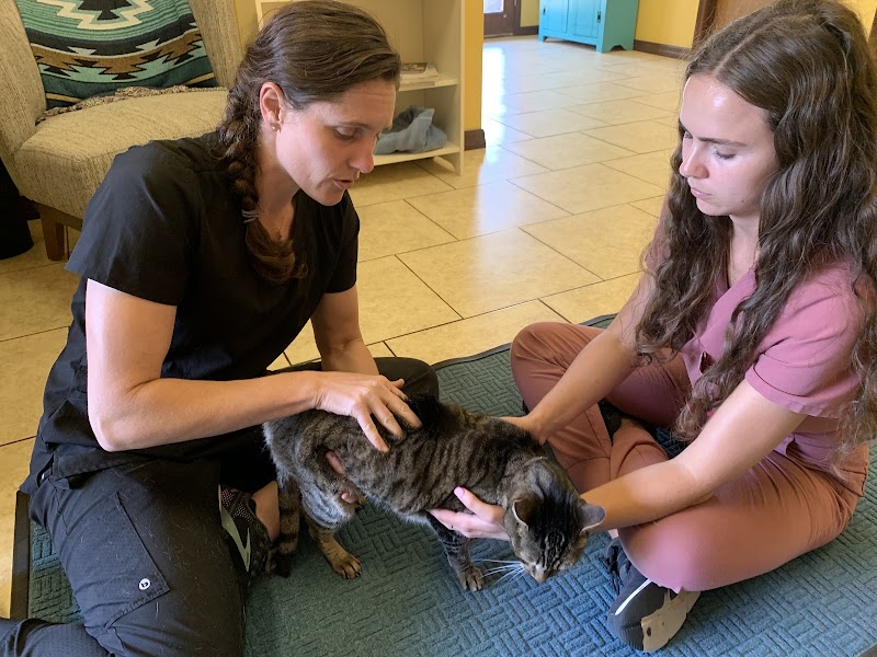 Wild Life Chiropractic