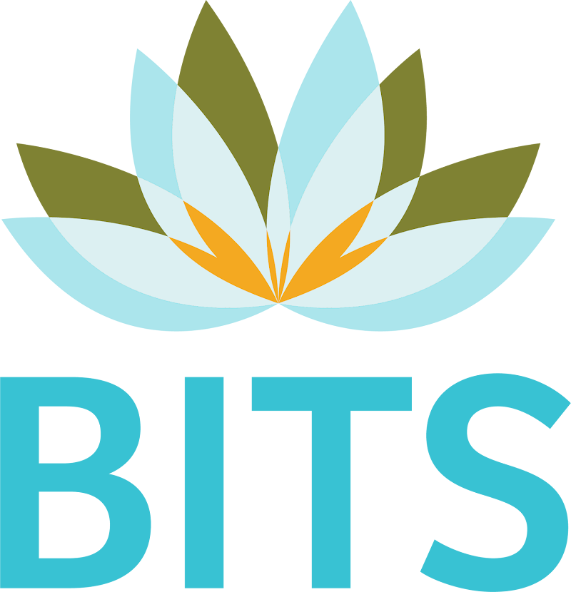 Behavioral Intervention Therapy Services (BITS ABA/BITS Prep)