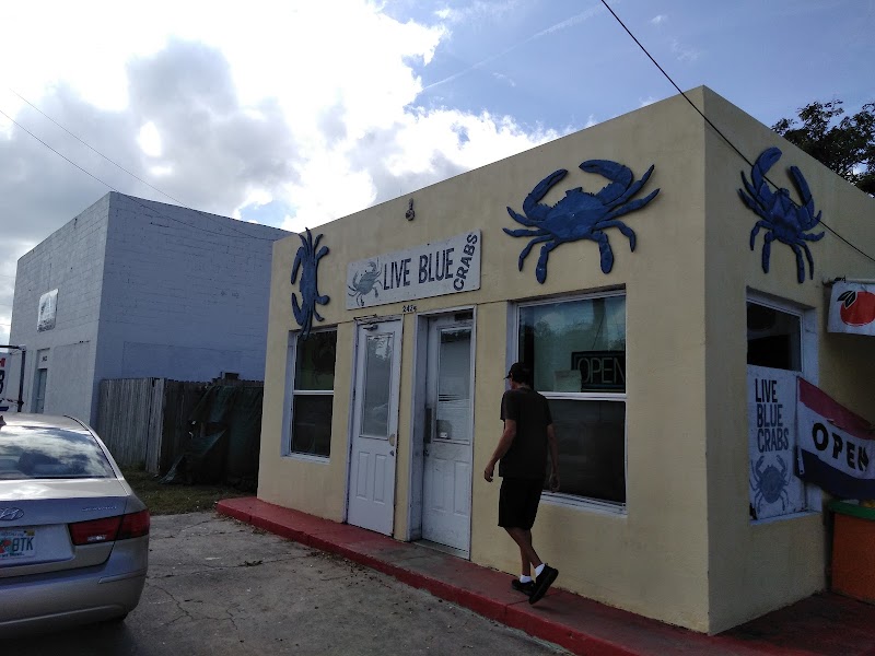 Live Blue Crabs