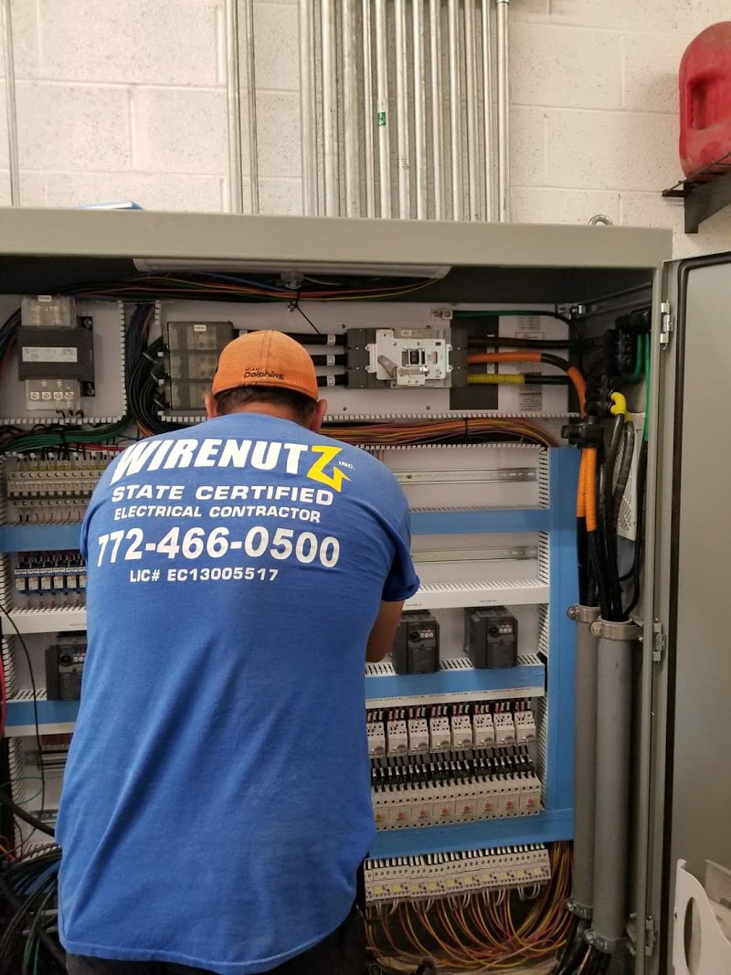 WireNutz Inc. WireNutz Inc.