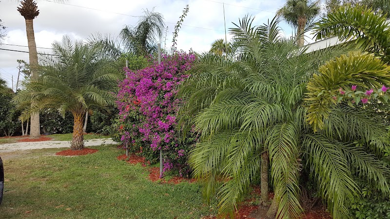 Coastal Lawn & Landscape Coastal Lawn & Landscape