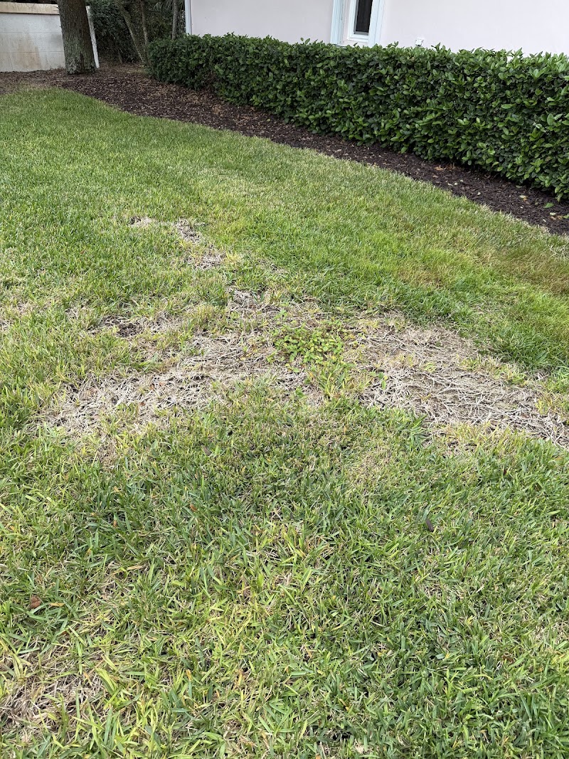 Creative Landscaping & Lawn Creative Landscaping & Lawn