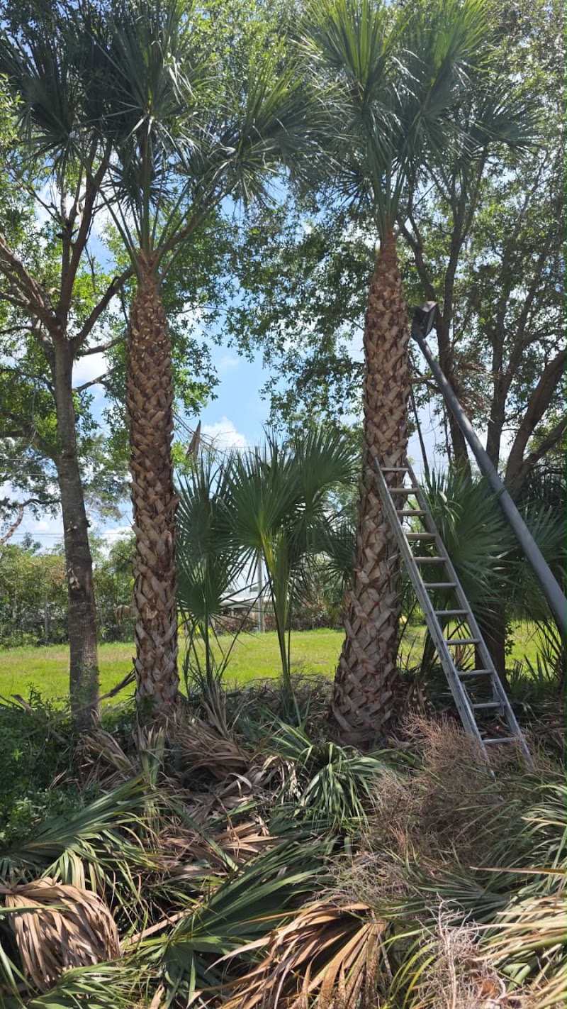 hkv landscaping llc hkv landscaping llc