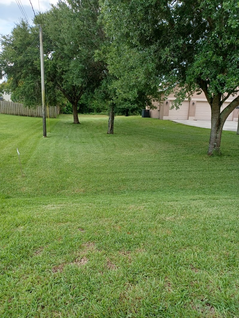 Gonzalez lawncare an landscaping Gonzalez lawncare an landscaping