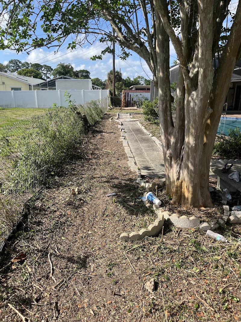 All Around Landscaping and Tree Service All Around Landscaping and Tree Service