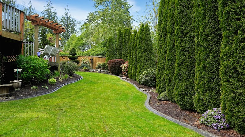 T.C's Lawns & Landscaping, Inc. T.C's Lawns & Landscaping, Inc.