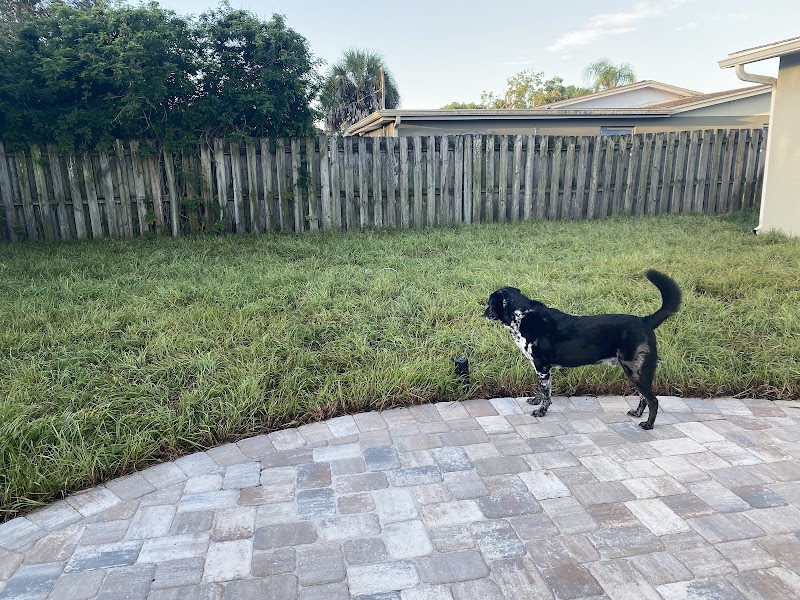 Green Thumb Landscaping Inc Green Thumb Landscaping Inc