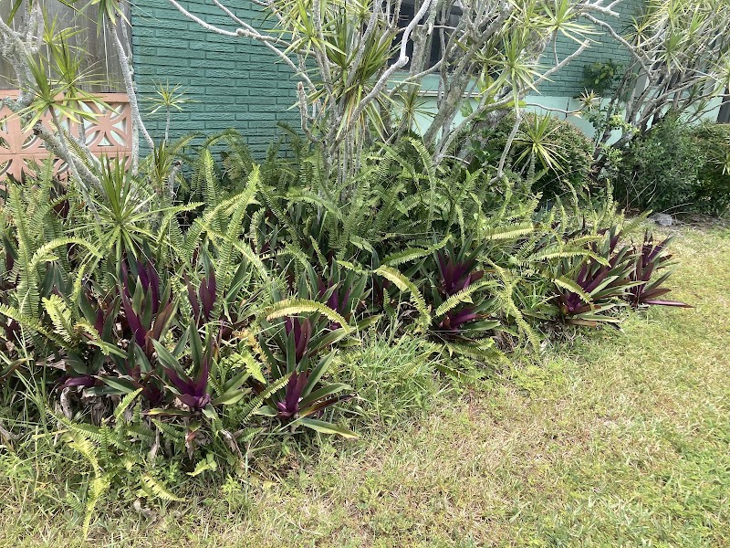 Satellite Beach Lawn Care L.L.C. Satellite Beach Lawn Care L.L.C.