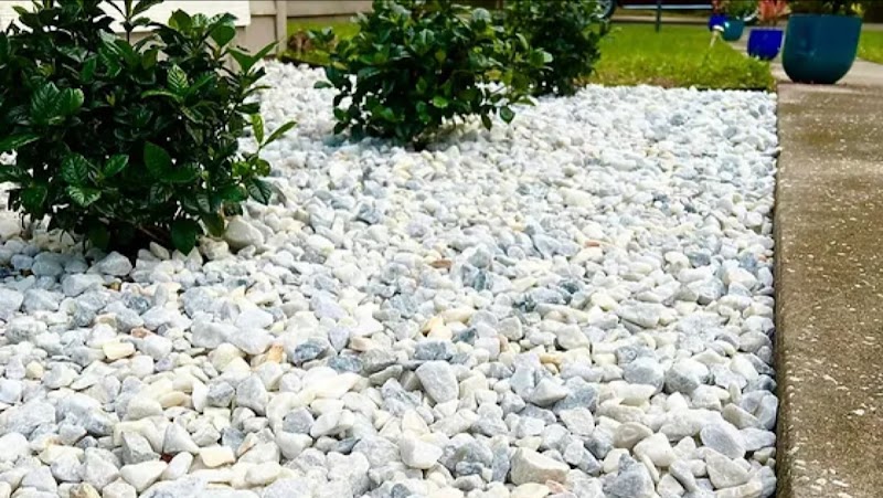 Wilson's Lawn Care and Landscaping LLC Wilson's Lawn Care and Landscaping LLC