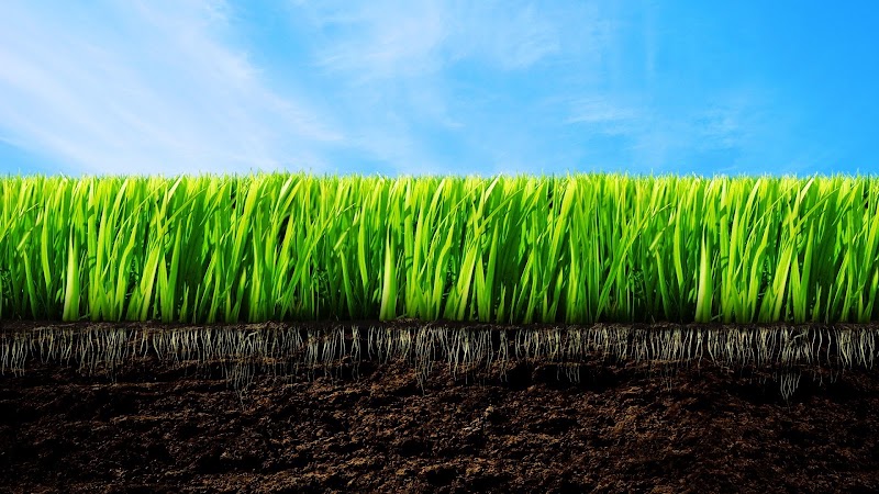 Hi Performance Lawn Care, LLC Hi Performance Lawn Care, LLC