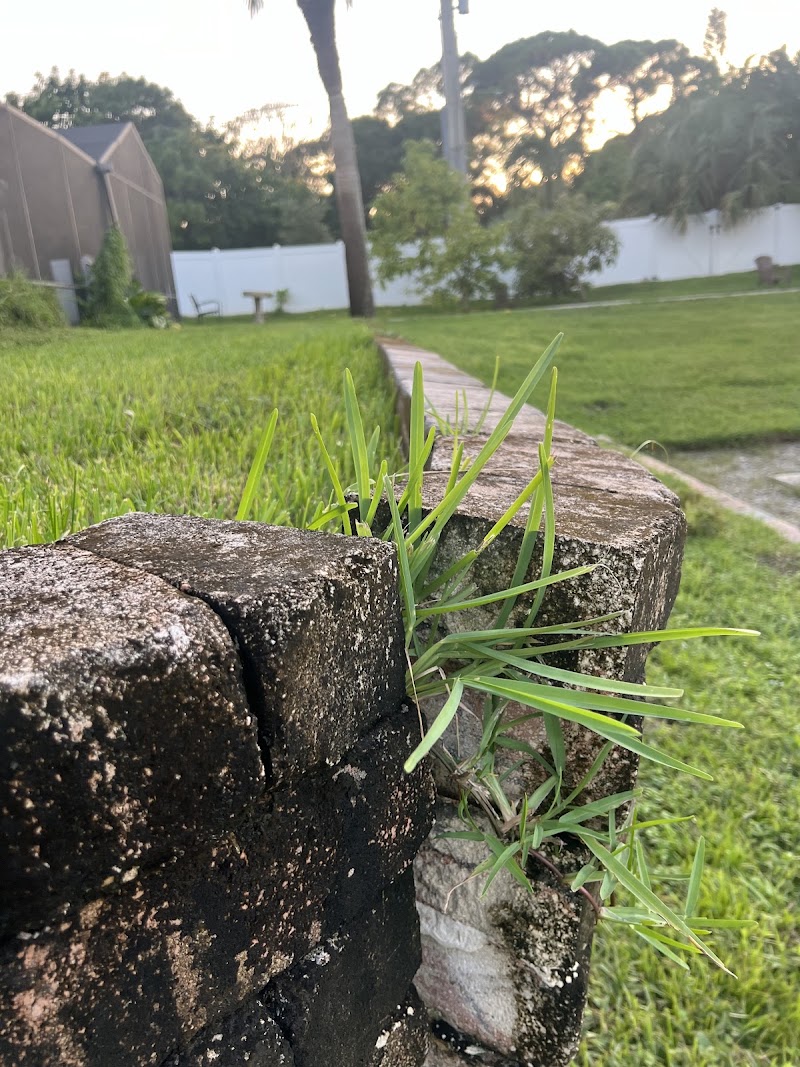 JB's Lawn Control Inc JB's Lawn Control Inc