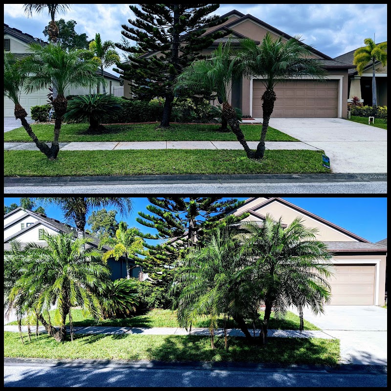 Cole Lawn Care Cole Lawn Care