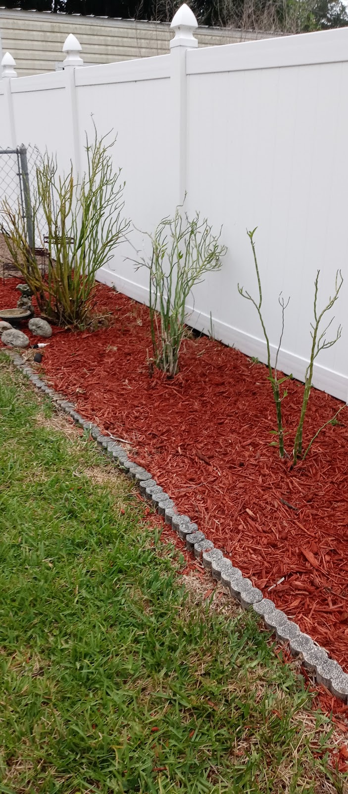 Landscaping with Julie Landscaping with Julie