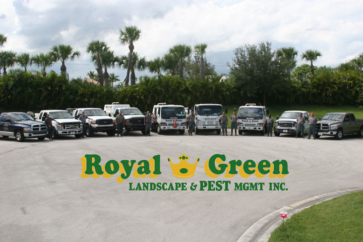 Royal Green Landscape & Pest Mgmt, Inc. Royal Green Landscape & Pest Mgmt, Inc.