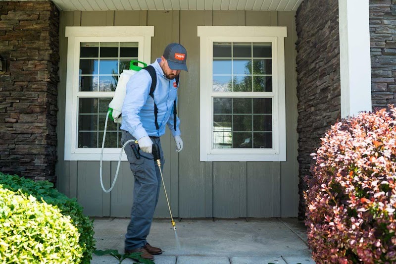 Bee Green Pest Control Bee Green Pest Control