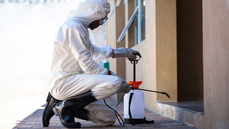 Fumigation Services Pest Control