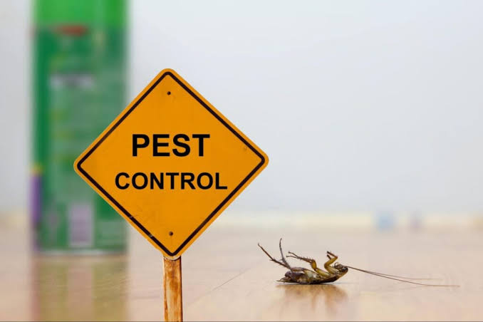 Palm Bay Pest Control Inc