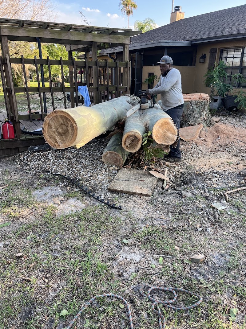 All Around Landscaping and Tree Service All Around Landscaping and Tree Service
