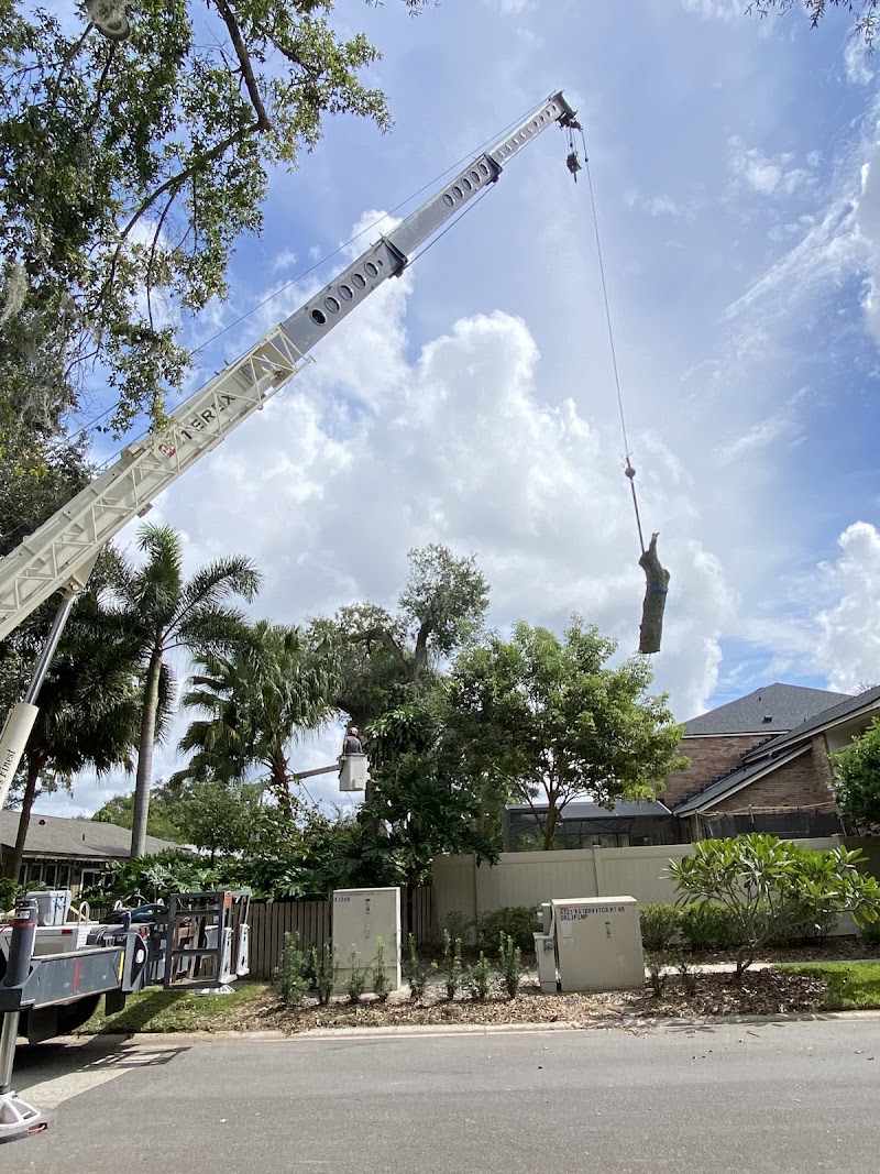 Redwine's Landscape & Tree Tech Redwine's Landscape & Tree Tech