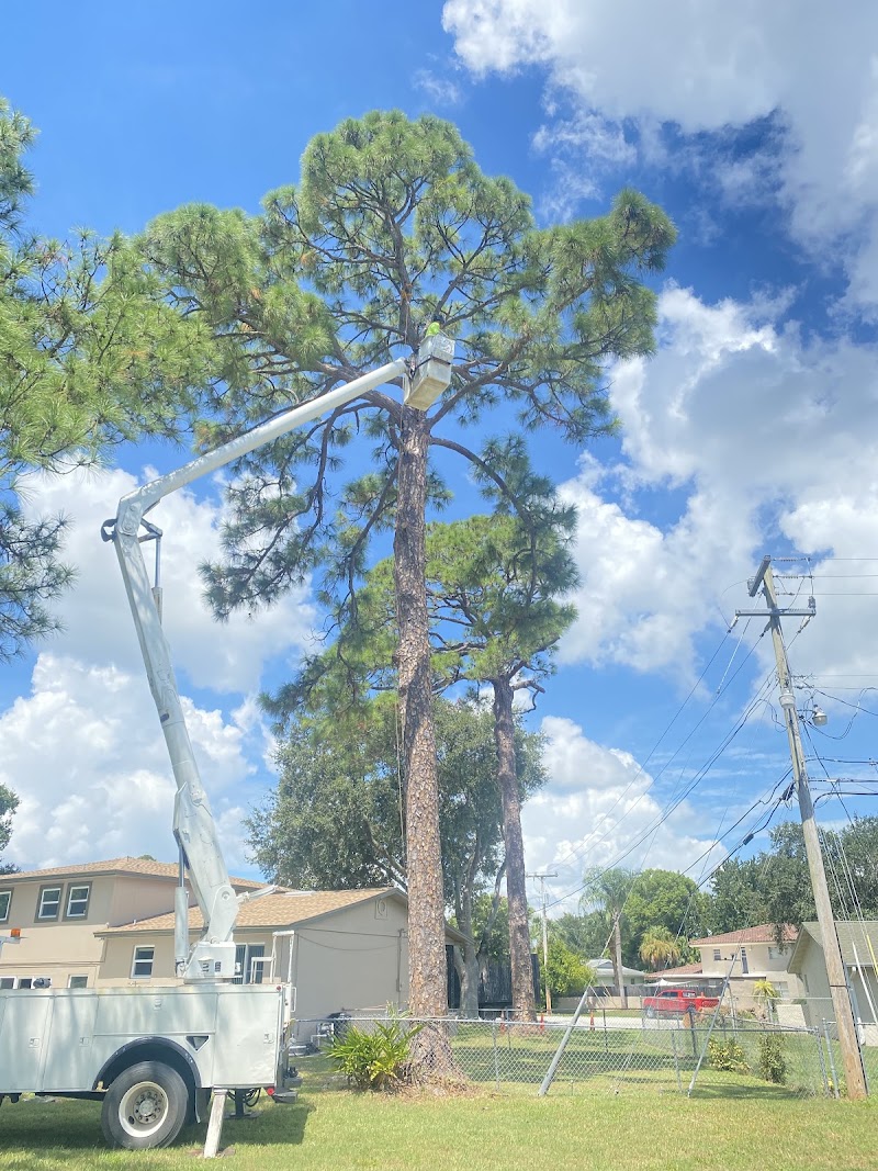 Redwine's Landscape & Tree Tech Redwine's Landscape & Tree Tech