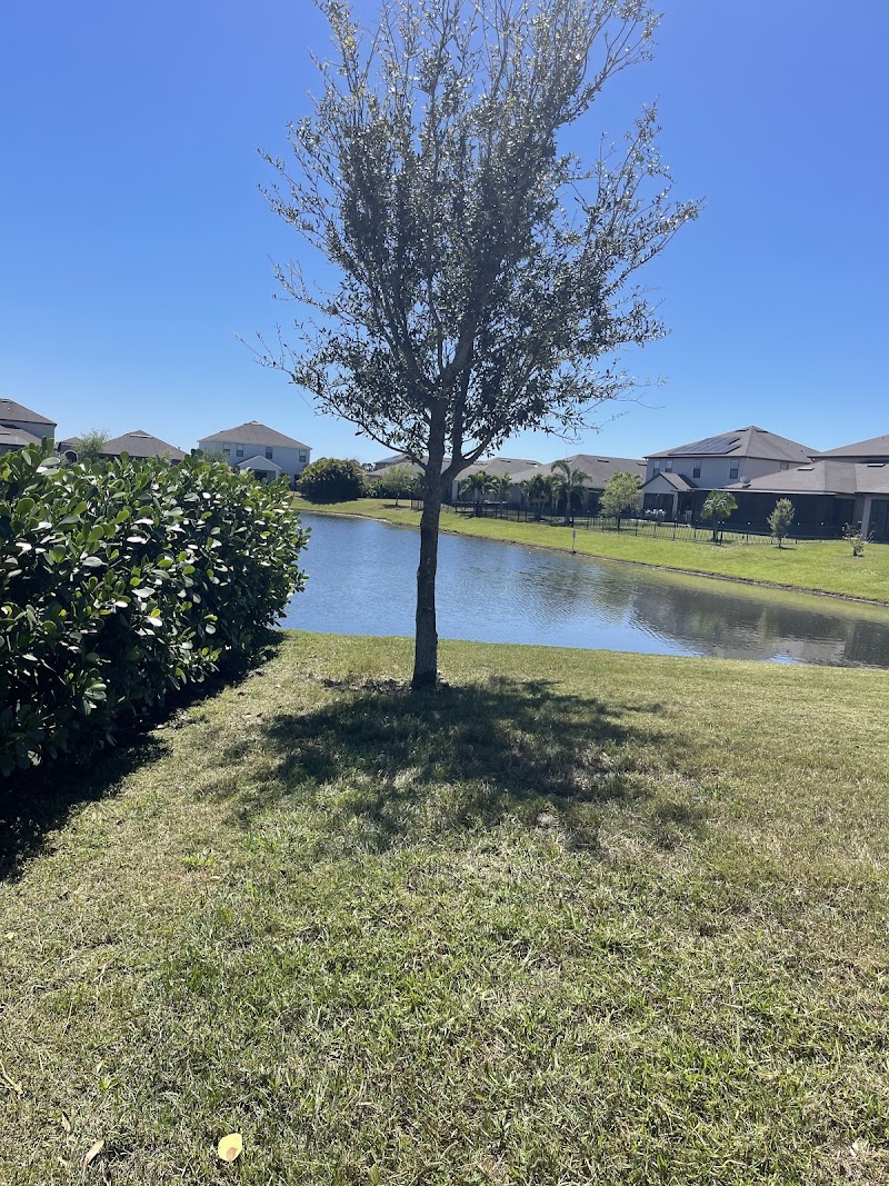 Bubba's Lawncare Bubba's Lawncare