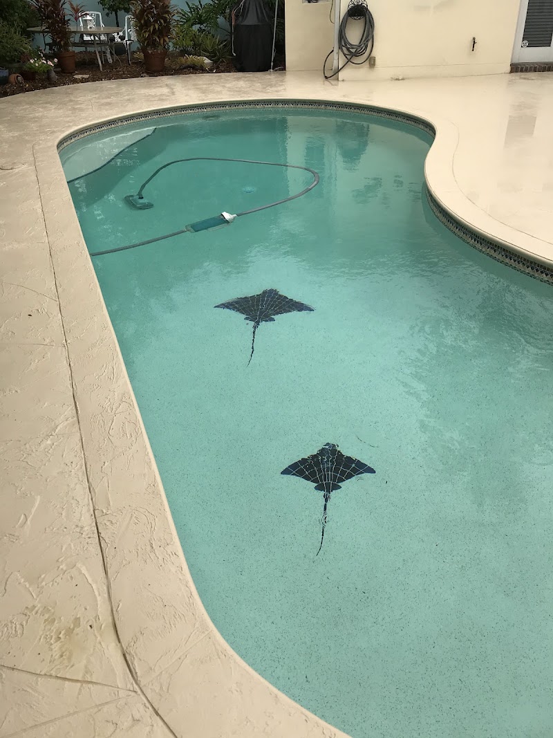 Accurate Pool Plastering Inc Accurate Pool Plastering Inc