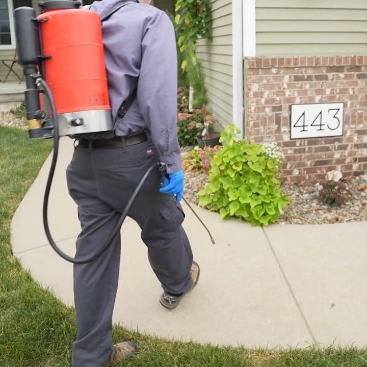 AAA Pest Control Port Saint Lucie AAA Pest Control Port Saint Lucie
