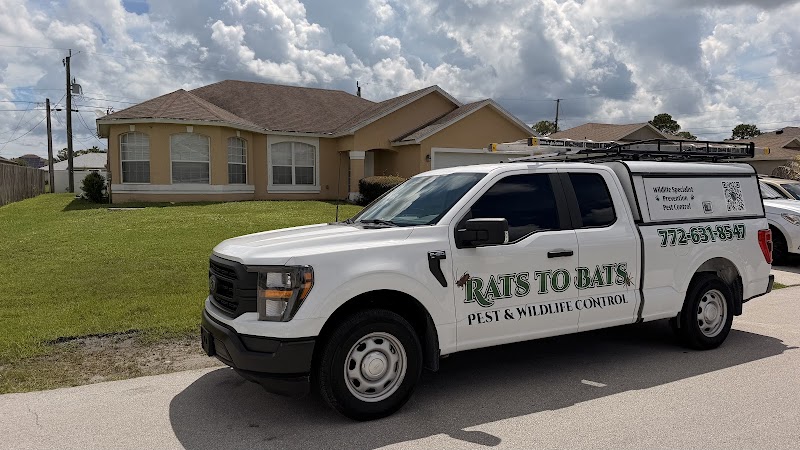 Rats to Bats Pest & Wildlife Control Rats to Bats Pest & Wildlife Control