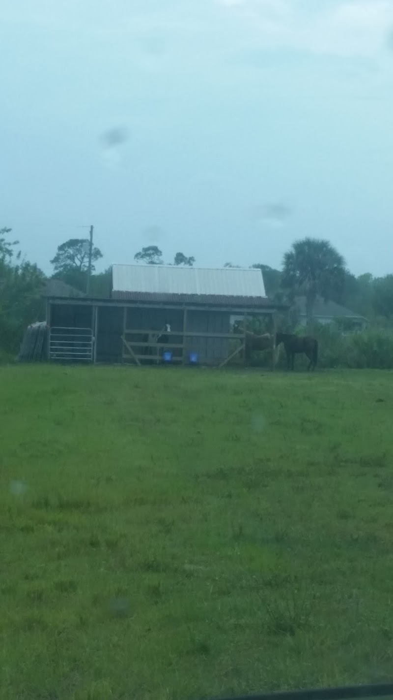 Ransom Cartage LLC Ransom Cartage LLC