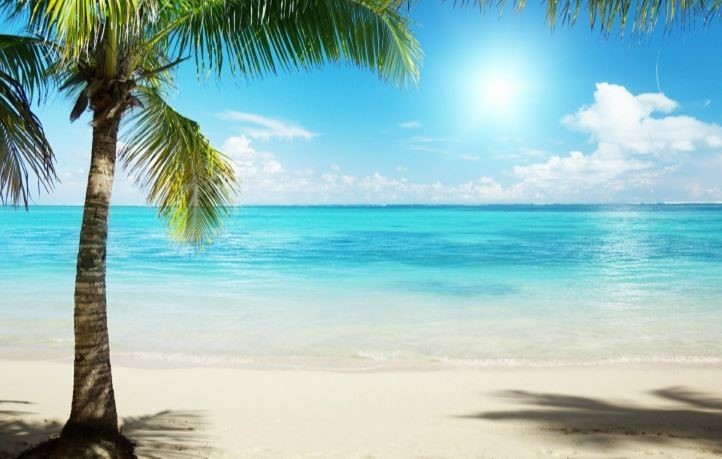 Island Insurance Life & Health LLC