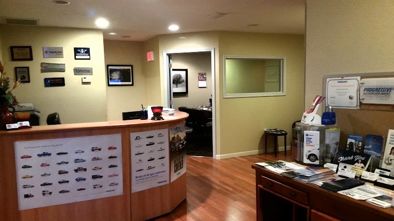 American Insurance American Insurance