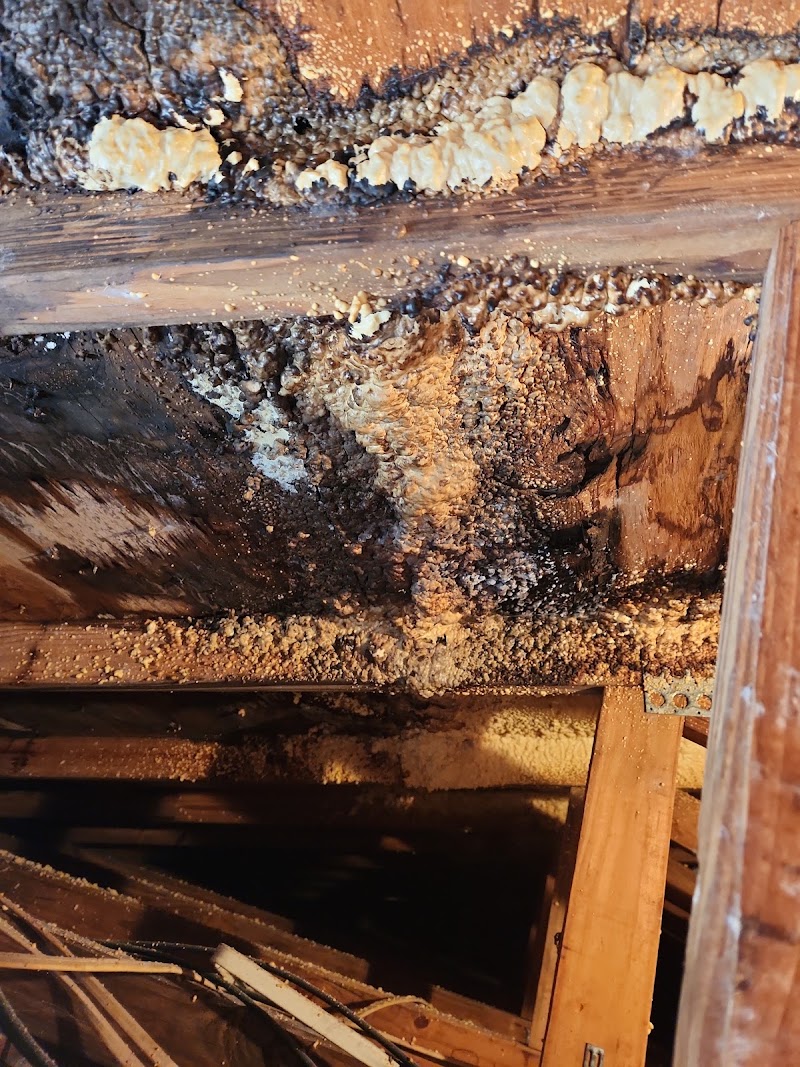 GALL PAINTING AND HOME REPAIR GALL PAINTING AND HOME REPAIR
