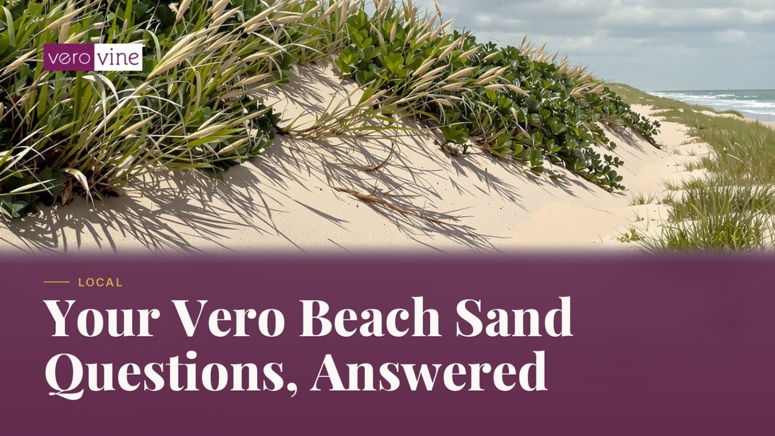 Sea oats on a Florida beach dune with the title Your Vero Beach Sand Questions, Answered
