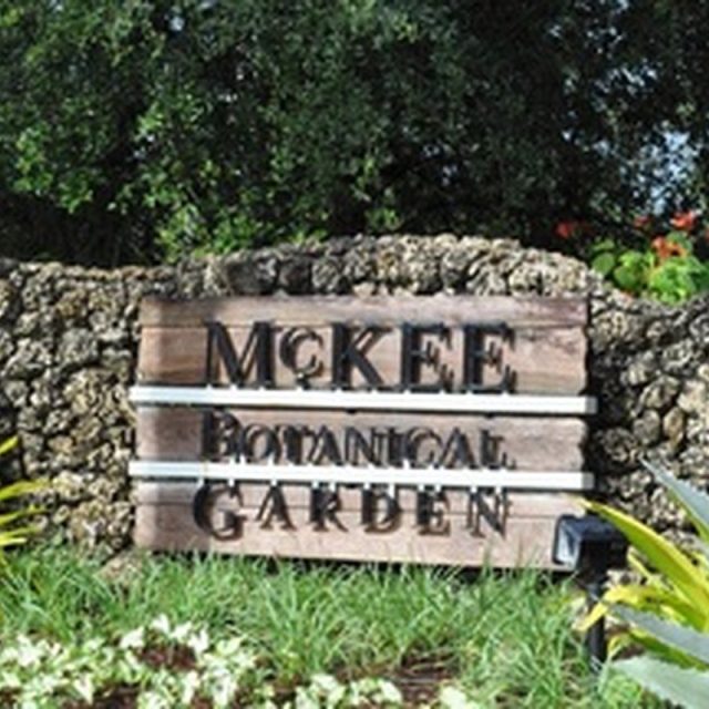 McKee's photo