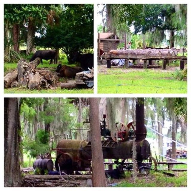 Old Sawmill