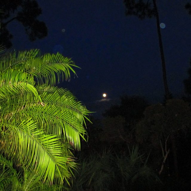 Moon Over Vero