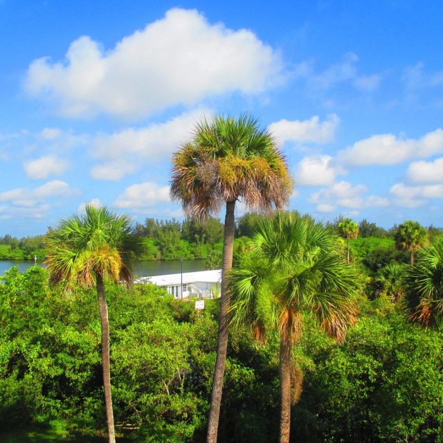 View From Route 60 Bridge Vero