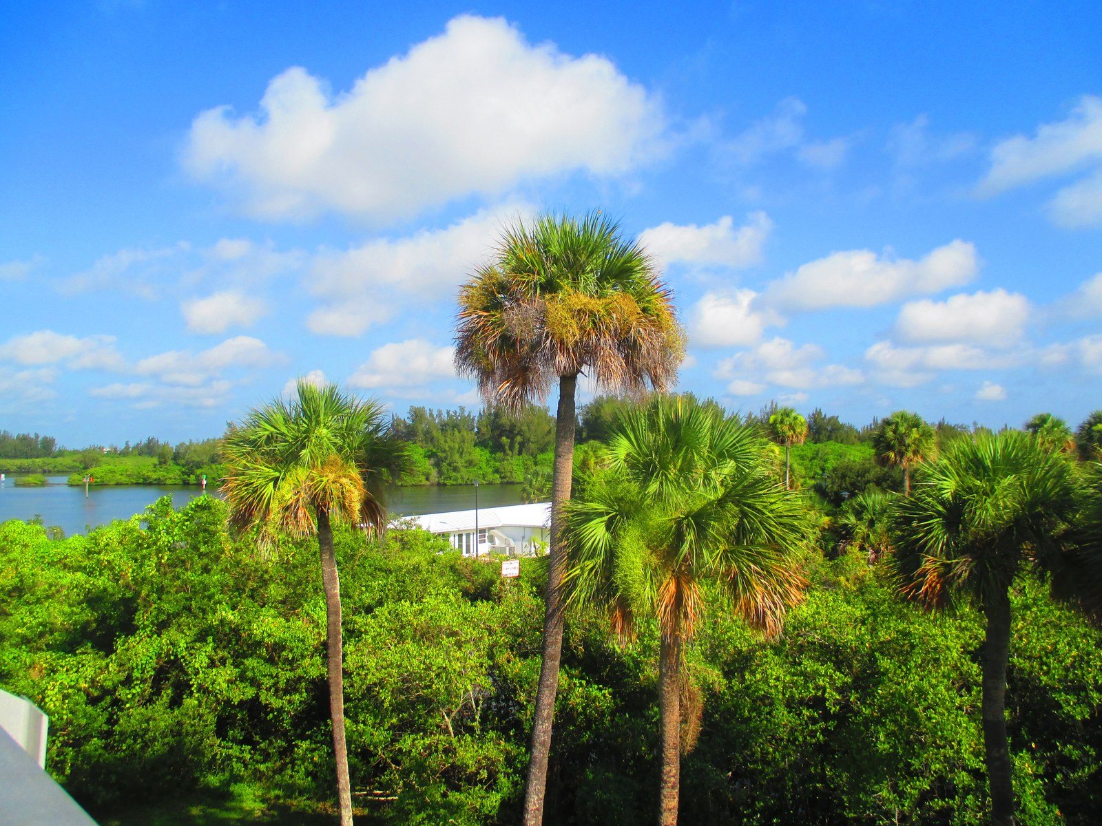 View From Route 60 Bridge Vero