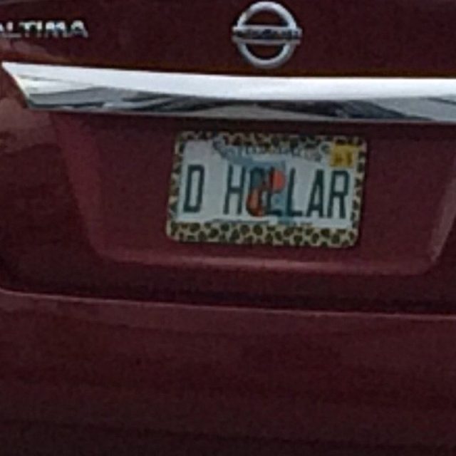 Dollar Hollar
