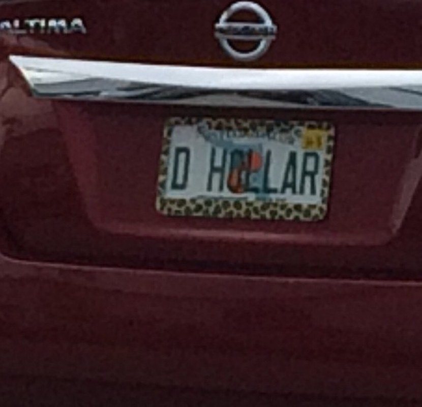 Dollar Hollar
